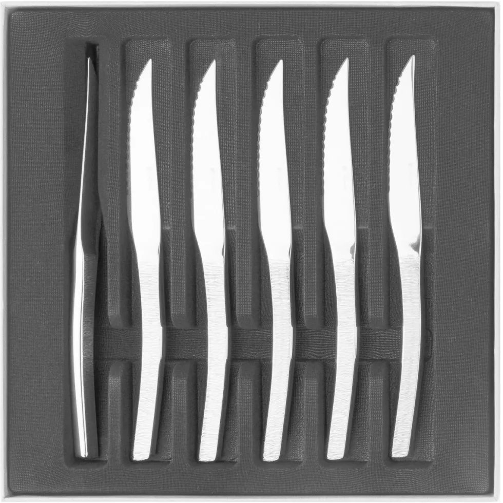 ASTREE CISELE MIROIR Coffret 6 couteaux à steak monobloc lame scie