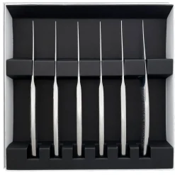 ASTREE CISELE MIROIR Coffret 6 couteaux à steak monobloc lame scie