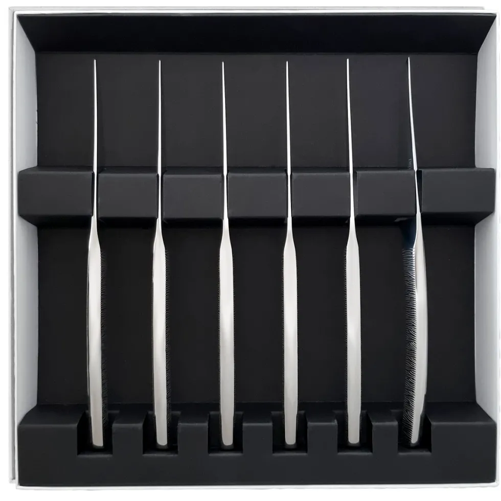 ASTREE CISELE MIROIR Coffret 6 couteaux à steak monobloc lame scie