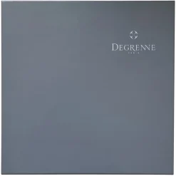 ASTREE CISELE MIROIR Coffret 6 couteaux à steak monobloc lame scie