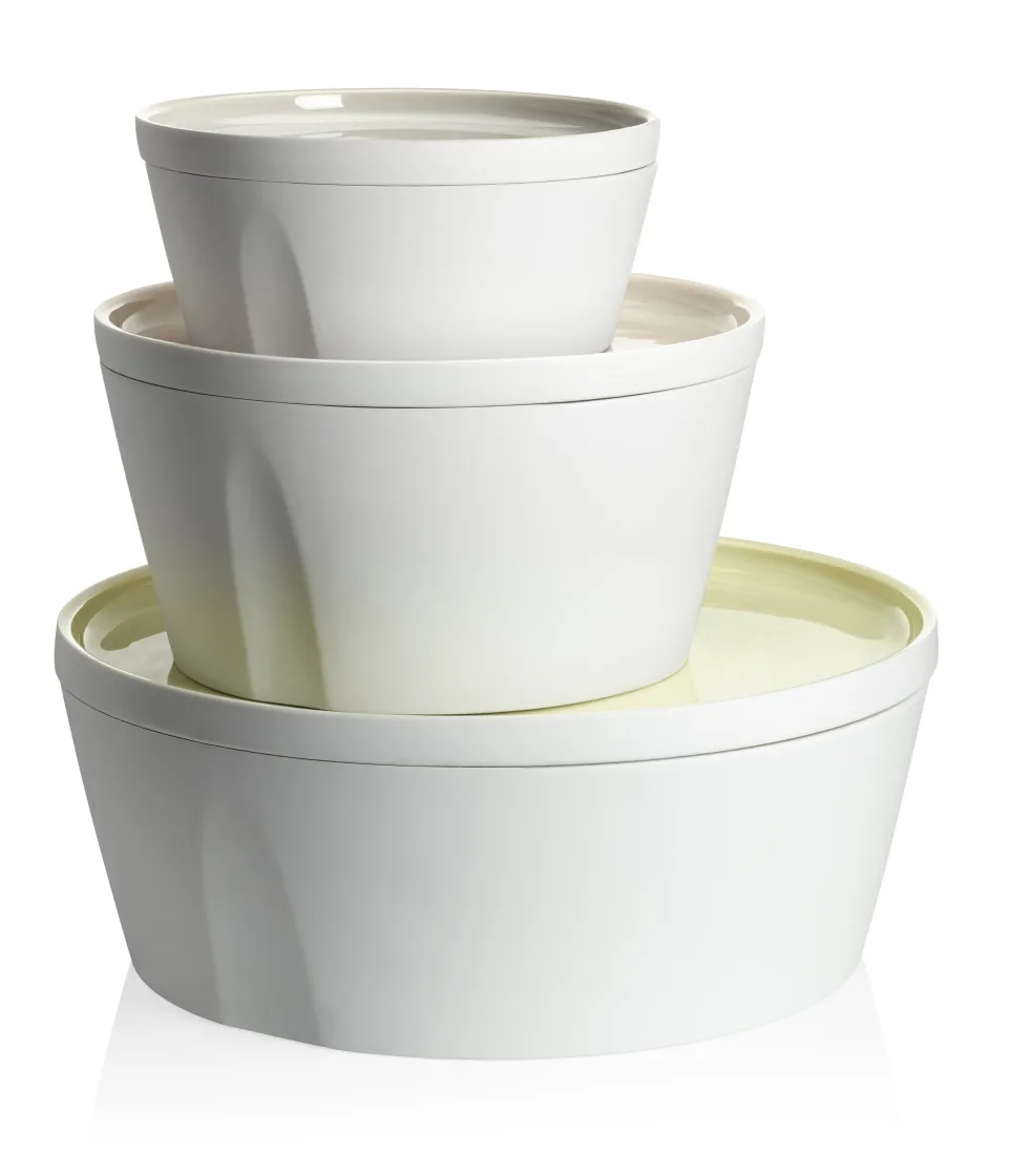 LA VAISSELLE DE L'ECONOME ARTICHAUT VERT Coffret bol droit et assiette 24 cm